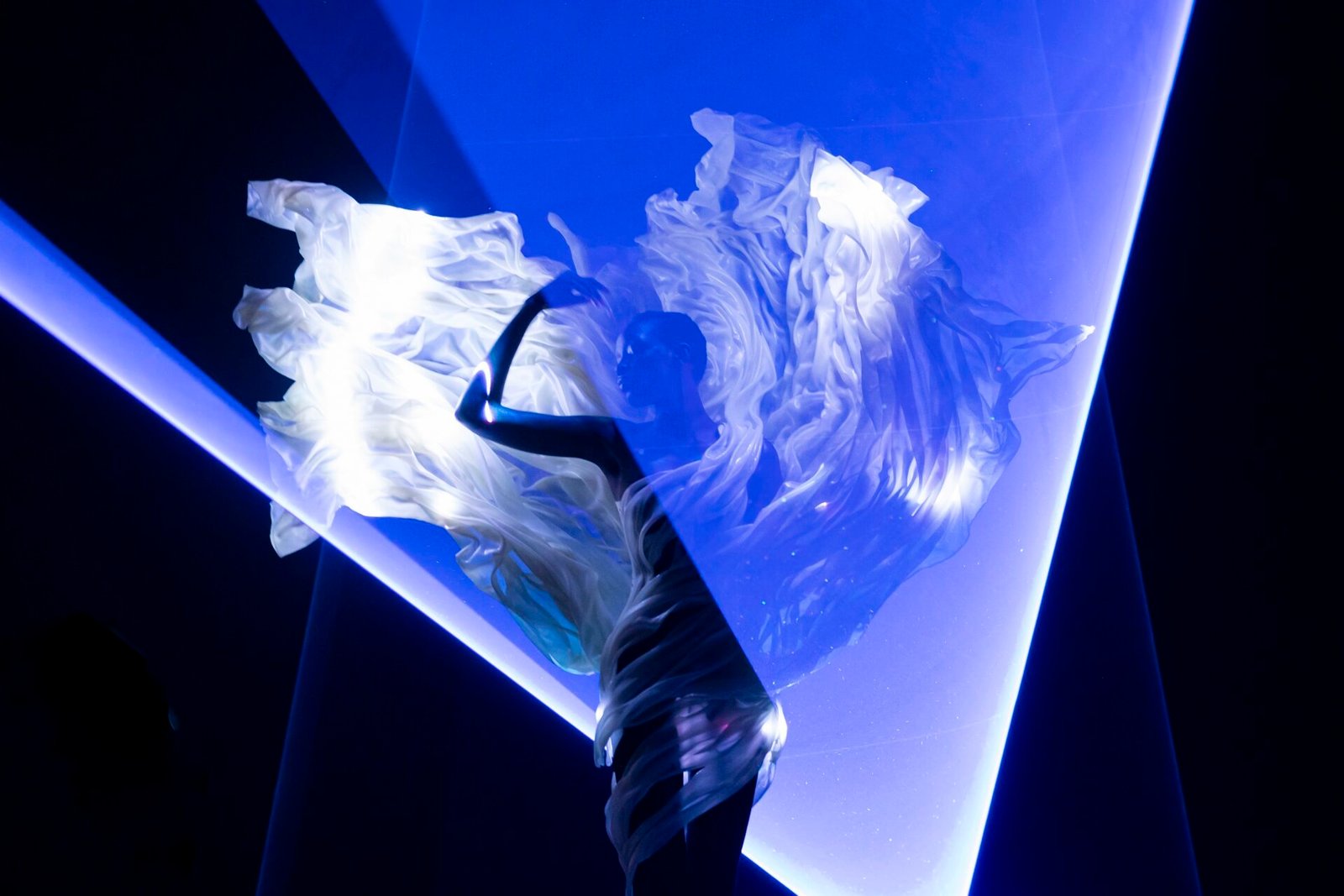 Iris van Herpen I Esculpindo os Sentidos