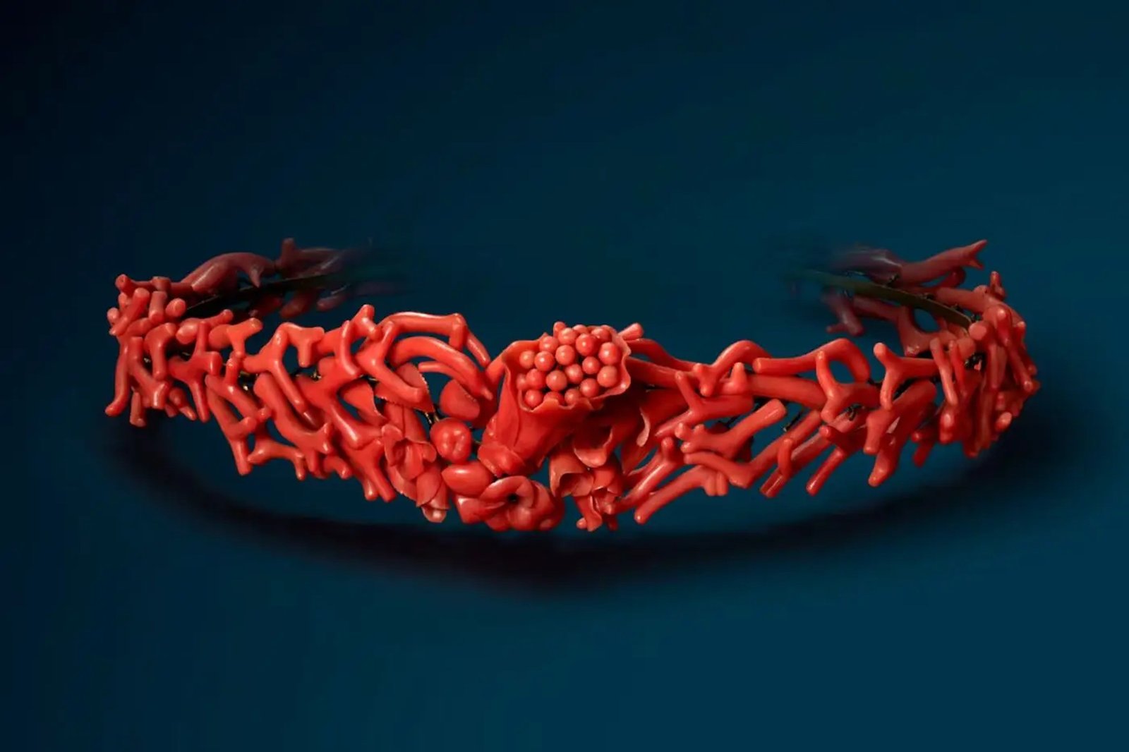 Coral Precioso I Da Curiosidade aos Tesouros